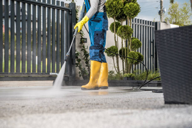 Best Fence Cleaning  in Tangelo Park, FL
