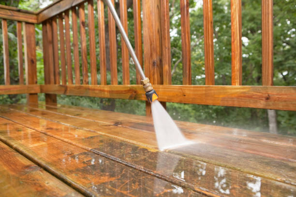 Best Driveway Pressure Washing  in Tangelo Park, FL